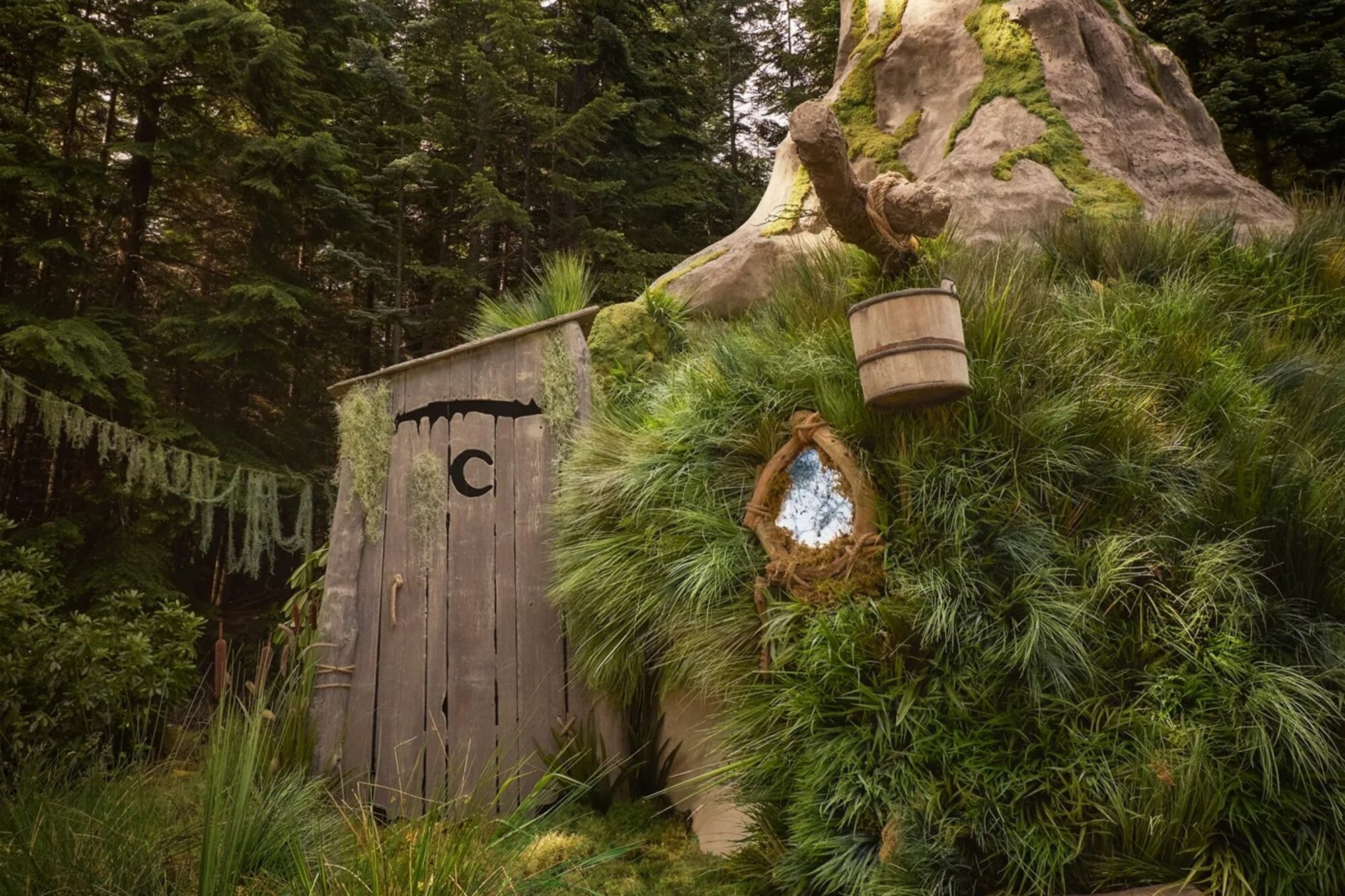 Shrek pecója való életre kelt az Airbnb által