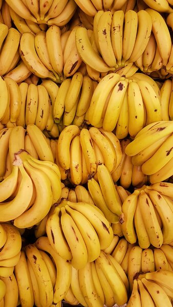 A banán a világ első gyümölcsei között lehetet. De hol termett először? 