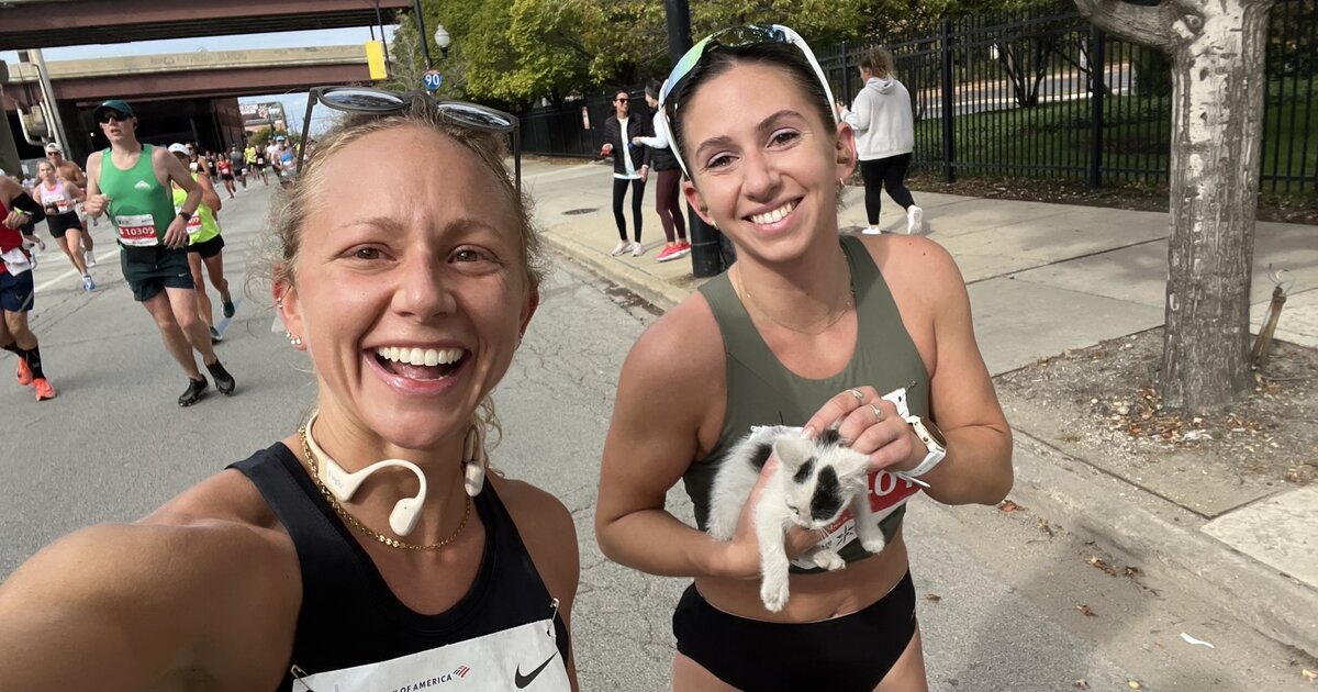 Sarah Bohan futó a chicagói maraton közben mentett macskát | REFRESHER.hu
