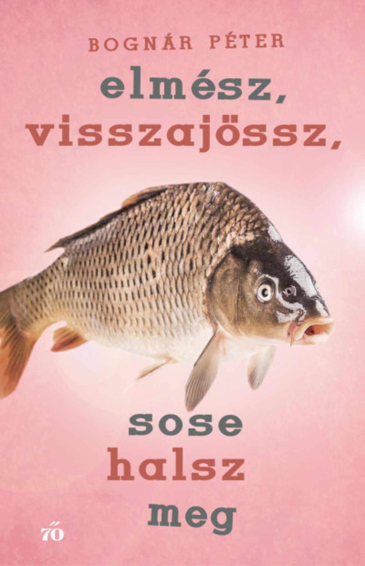 irodalom konyvajanlo