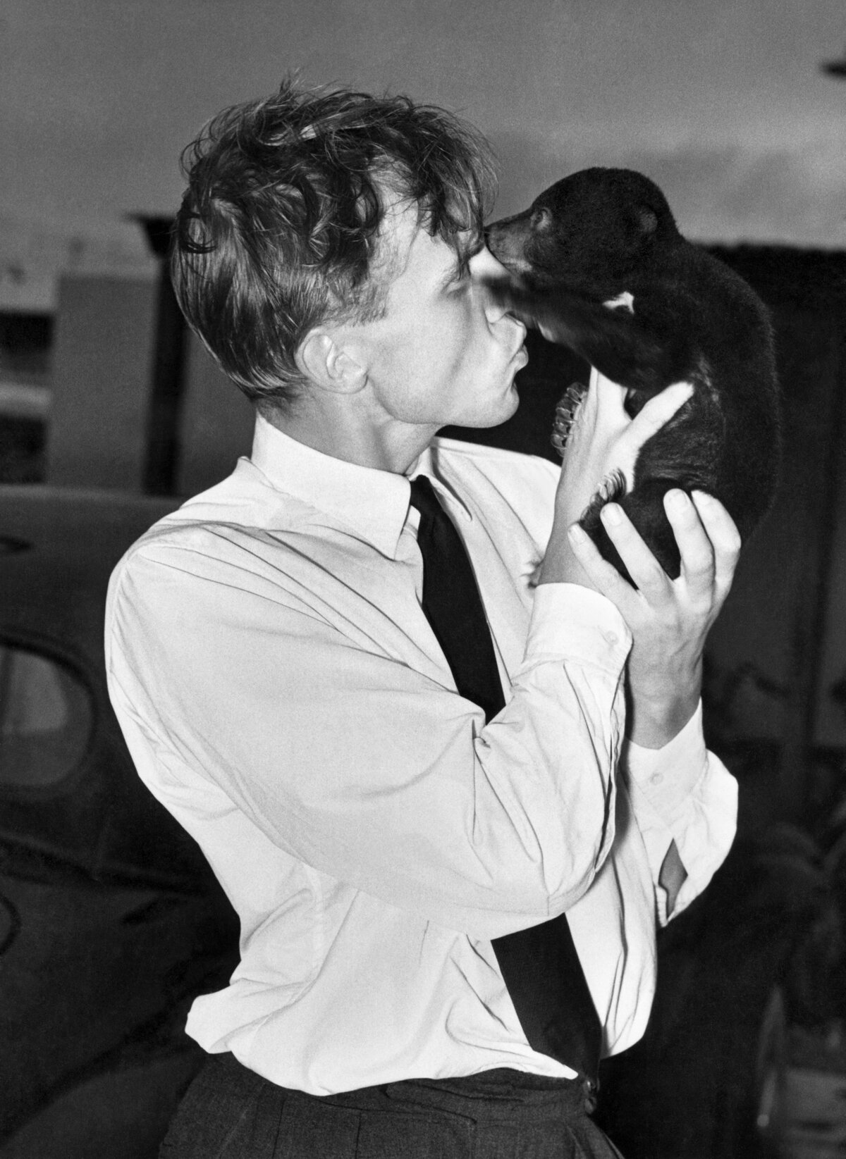 David Attenborough egy 6 hetes medvebocs társaságában, 1956 szeptembere.