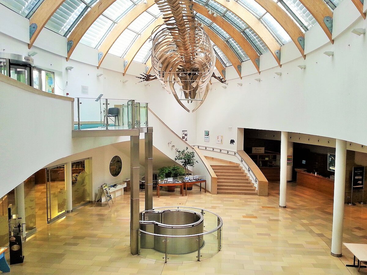 Budapesten maradhat a Természettudományi Múzeum