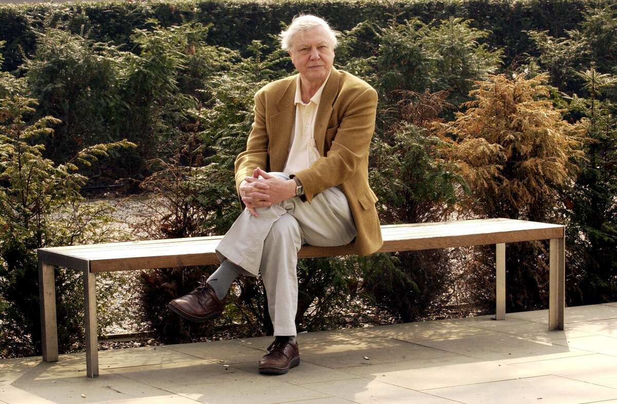 Sir David Attenborough a londoni Tate Galéria kertjében pihen. (Fotó: Chris Young - PA Images/PA Images via Getty Images)