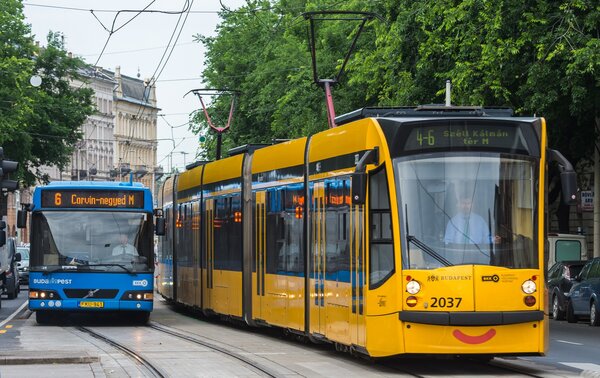 Pov 2.0: valaki a vilin telibehányja a Vinteden vett műszőrmekabátodat. Mit csinálsz?