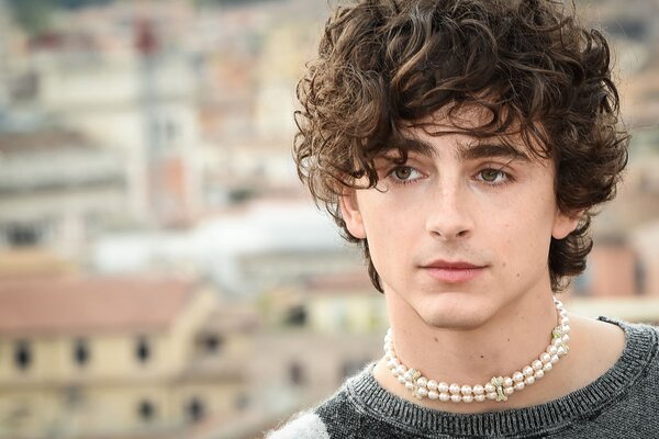 Még a „Szólíts a neveden!” és a „Dűne” főszereplője, Timothée Chalamet is szerepelt karácsonyi filmben. Vajon melyikben az alábbiak közül?