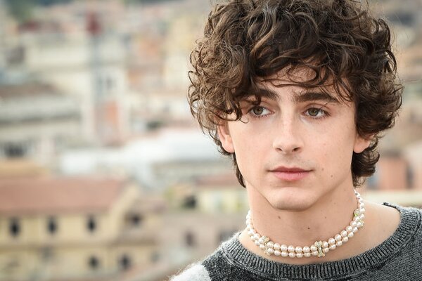 Még a „Szólíts a neveden!” és a „Dűne” főszereplője, Timothée Chalamet is szerepelt karácsonyi filmben. Vajon melyikben az alábbiak közül? 