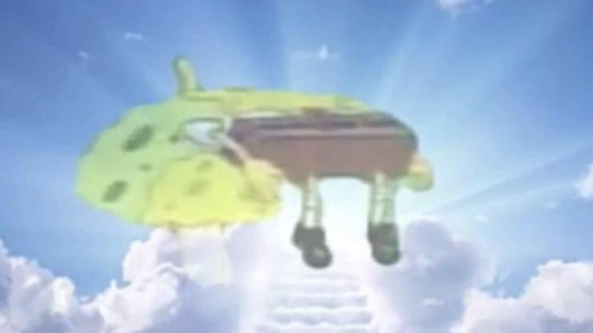 meme mem spongyabob