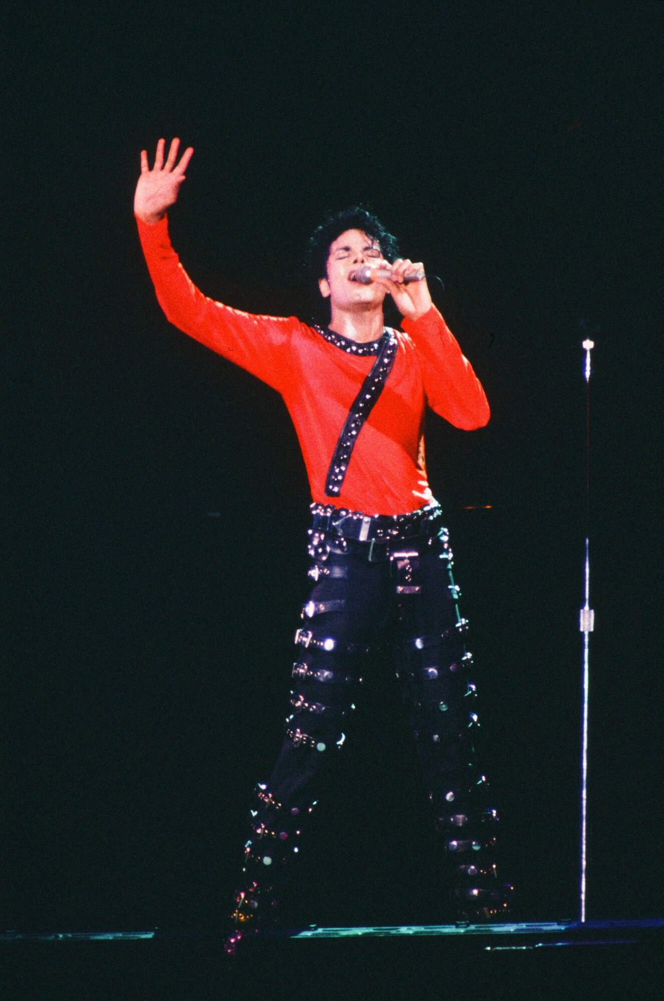 Michael Joseph Jackson (Gary, Indiana, 1958. augusztus 29. – Los Angeles, Kalifornia, 2009. június 25.) többszörös Grammy-díjas amerikai énekes, zeneszerző, táncos, filantróp és üzletember, a „pop királyaként” tartják számon. A Jackson család hetedik gyermeke volt. 1966-tól bátyjaival (Jackie Jackson, Tito Jackson, Jermaine Jackson, Marlon Jackson) a The Jackson 5 együttes tagja.