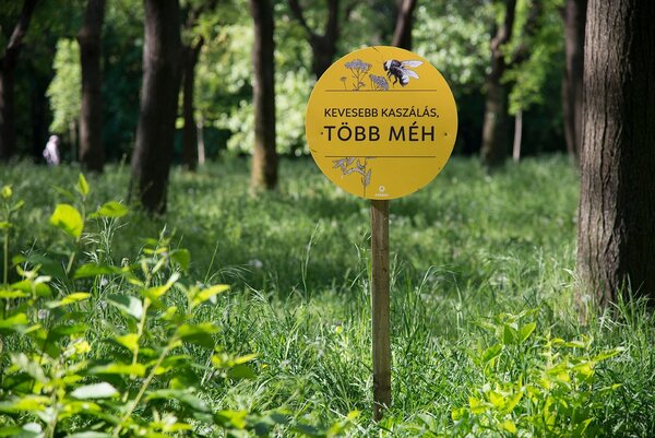 Mennyire fontos számodra a zöld környezet?