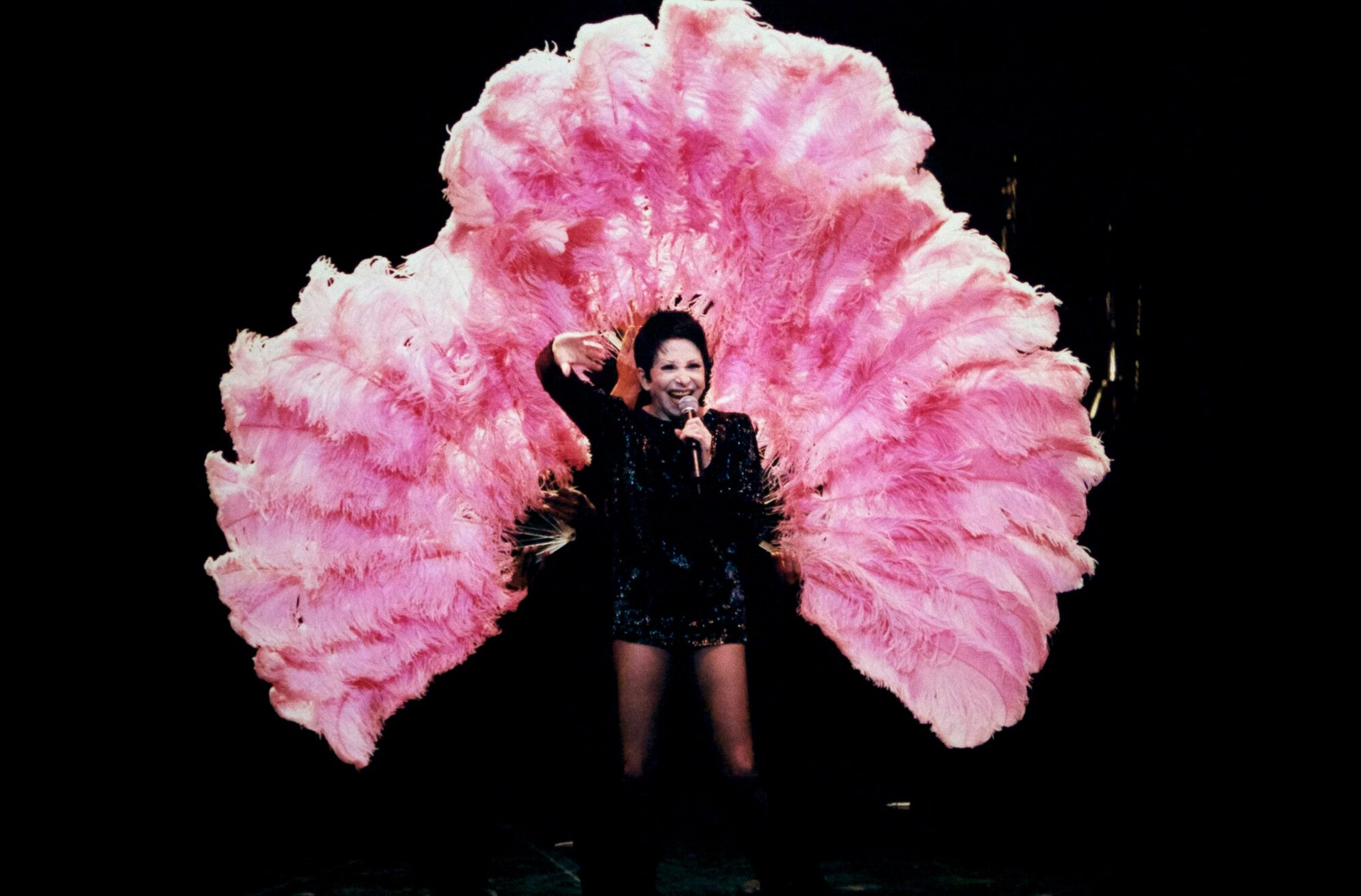 Renee 'Zizi' Jeanmaire